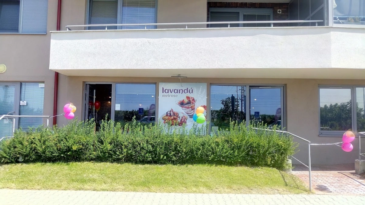 Lavandú Melrose café