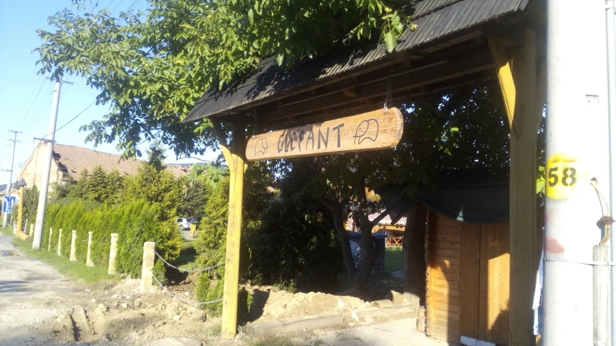 Elefant