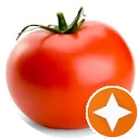 Autor hodnotenia J Tomato